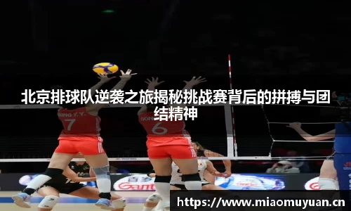 北京排球队逆袭之旅揭秘挑战赛背后的拼搏与团结精神