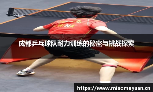 成都乒乓球队耐力训练的秘密与挑战探索